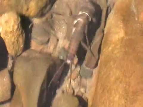 LARWA WIDELNICY (Międzybrodzie Bialskie, potok Ponikiew 14.07.2012r.)