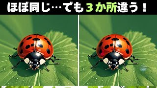 【間違い探し脳トレクイズ】60代以上のシニア・高齢者向け!特別問題ありの面白いクイズ【難問に挑戦でスッキリ脳トレ!】