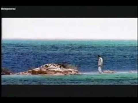 Quase Nada - Zeca Baleiro
