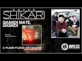 Enter Shikari - Gandhi Mate, Gandhi 
