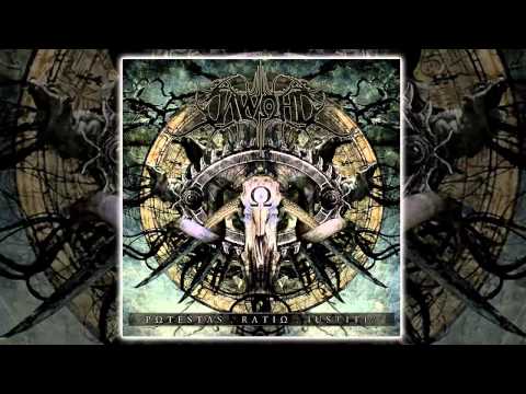 DAWOHL - DECIMARE (SINGLE 2014/HD)