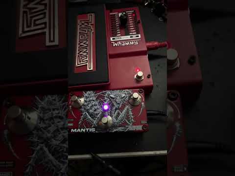 MIDI Mantis (Whammy Edition V2) // INSECTILE ENGINEERING image 8