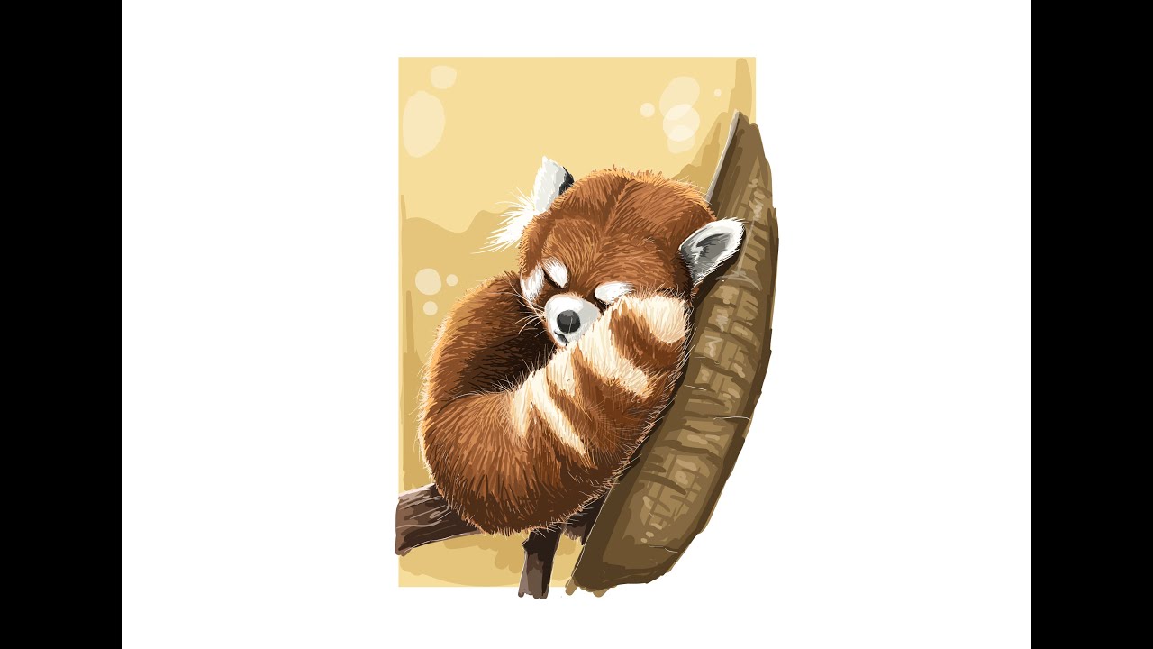 Time Lapse Adobe Illustrator : Red Panda vector painting illustration