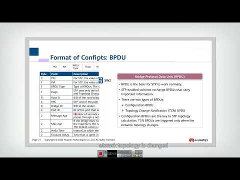 9.2.1 STP Basic Concepts