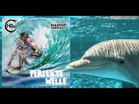 Juli - Perfekte Welle (HBz & Mashup-Germany Sky&Sand Bootleg)