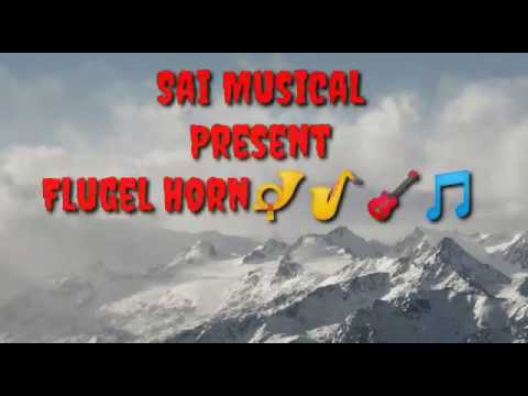 Sai musicals India Bb low pitch brass musical instrument FLUGEL Horn 4v blue brass made image 5