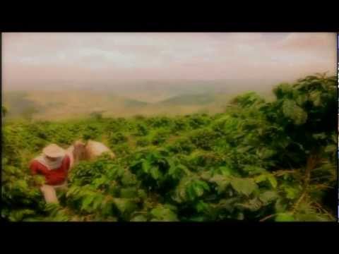 Paisaje cultural cafetero