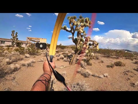 Circuit Training with Throwing Knives and Kheshig Bow - 23 September 2021