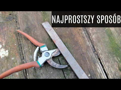 Jak prawidłowo naostrzyć sekator? NAJPROSTSZY SPOSÓB