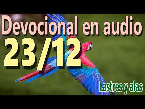 Devocional en audio 23/12 - Lastres y alas (A.B. Simpson)