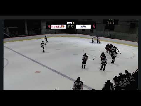 Moritz Tschiersch  number 11 Redbull U20