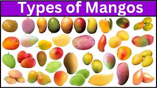 Types of Mangos | 80 Different Types of Mangos