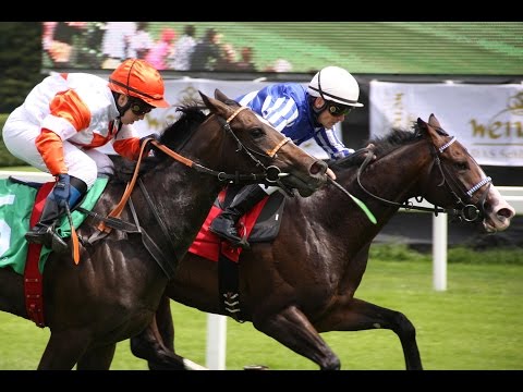 München: Erdinger Alkoholfrei-Preis EBF-Rennen (D) - Siegerin: Niyama