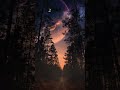 Which Picture Gives You The Vibe Part 1 Aurora Run Away Shorts Aurora