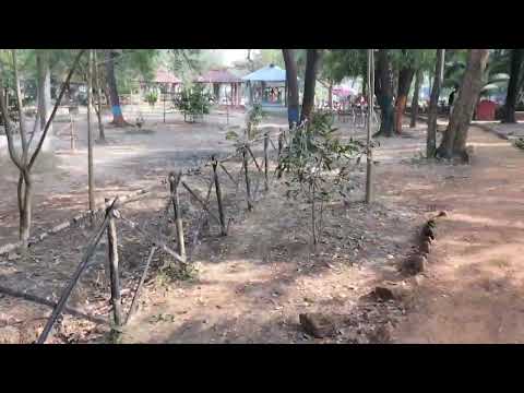 Srijoni Shilpa Gram, Bolpur #bolpur #shrijonivillage #shantiniketansonajhuri