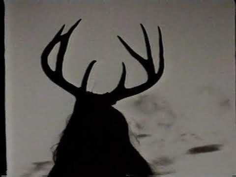 Simon Le Bon & Susanna Hoffs - Follow in my footsteps