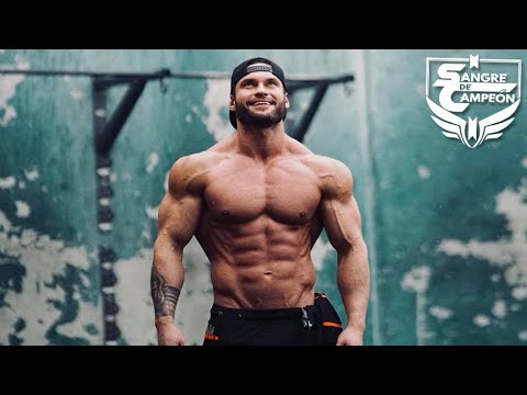 LEVÁNTATE Y BRILLA - Motivación Gym