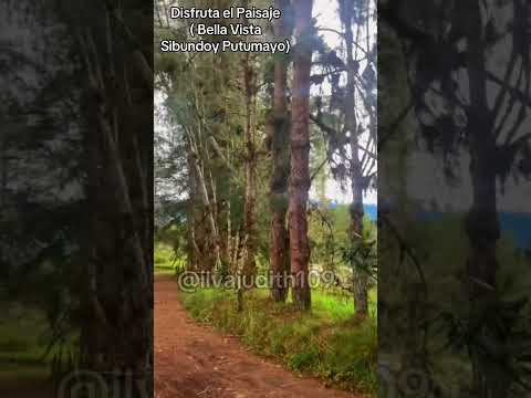 Disfruta el paisaje Bella Vista Sibundoy Putumayo #disfrutaelpaisaje #valledesibundoy #naturaleza