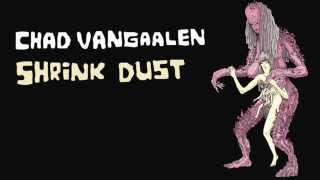 Chad Vangaalen - Weird Love