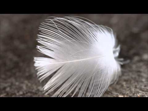 2CELLOS ** Fragile
