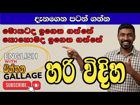 How to learn English