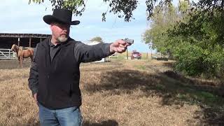 Bearman Industries' Classic .22LR Derringer - Rem Mod 95 Clone