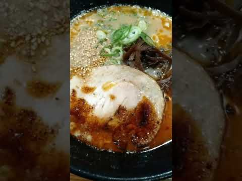 #Shorts [Kyushu Junkuro Ramen] "Larara Ramen" Rico hueso de cerdo negro 🎵 El sabor carbonizado y la rica sopa de huesos de cerdo tienen un equilibrio perfecto con los fideos, lo que la convierte en una excelente taza que puedes beber hasta la última gota 🍜🍥🐷🥢🙏