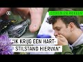 SCHILDPAD BIJT JURRE?! | Steken & Prikken #10 | NPO Zapp