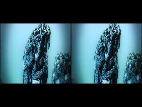 Stereoscopic 3D Fractal: Embryonic Development