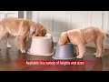 Sistema de alimentación bajo de un tazón para mascotas BY WEATHERTECH