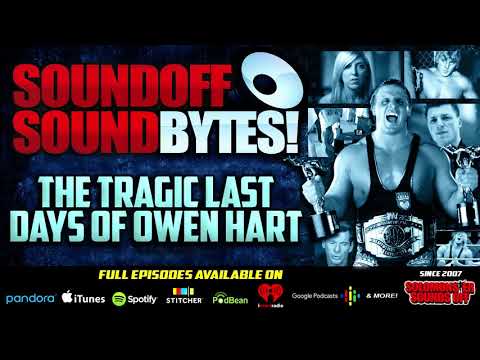 Dark Side Of The Ring Covers OWEN HART (And Details Not Included In The Episode) - Review
