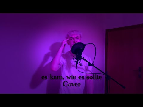 Es Kam Wie Es Sollte - Felikz