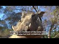 50 50 Episode 29 Season 8 SABC2 Thula Amakhosi Safari Lodge