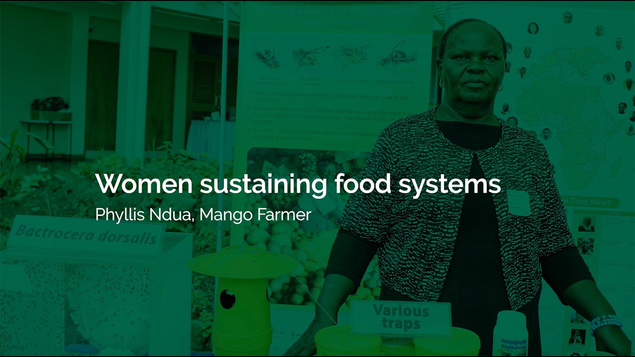 Women sustaining food systems – Phyllis Ndua, Mango Farmer