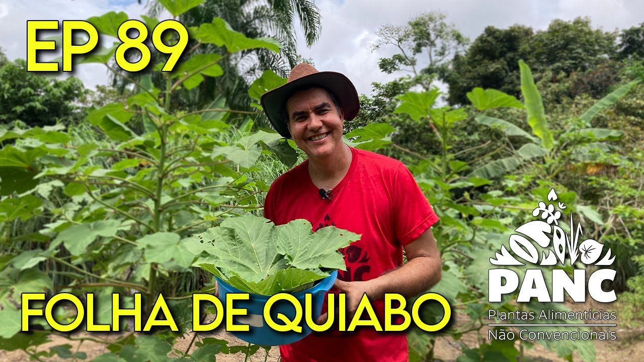 EPISÓDIO 89 - FOLHA DE QUIABO | #pancnaveia #valdelykinupp