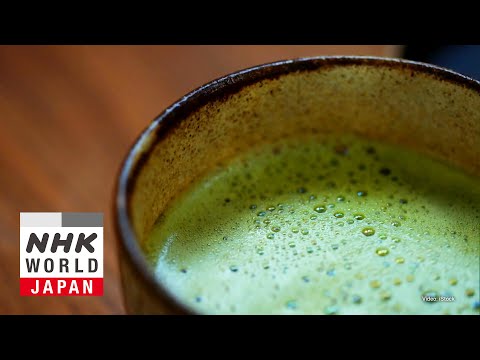 Matcha's Power, Explained by Science - Medical Frontiers