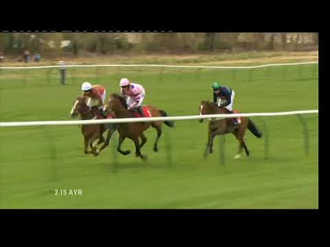2010 Scottish Sun Future Champions Novice Chase