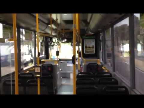 Transperth TP1575 - Mercedes-Benz O405NH (Voith)