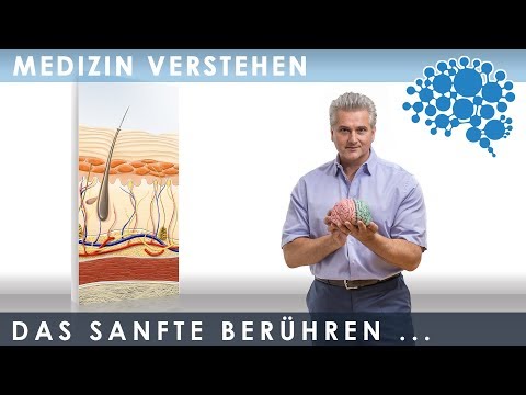 Neuroanatomie der sanften Berührung│Dr. Dr. Damir del Monte│Encephalon Medizin-Videos bei Lecturio