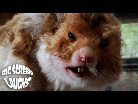 Giant Hamster Attack | Nutty Professor II: The Klumps (2000) | Big Screen Laughs