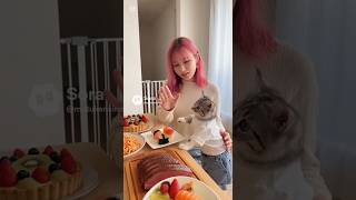 何回停めても、勝手に食べる猫