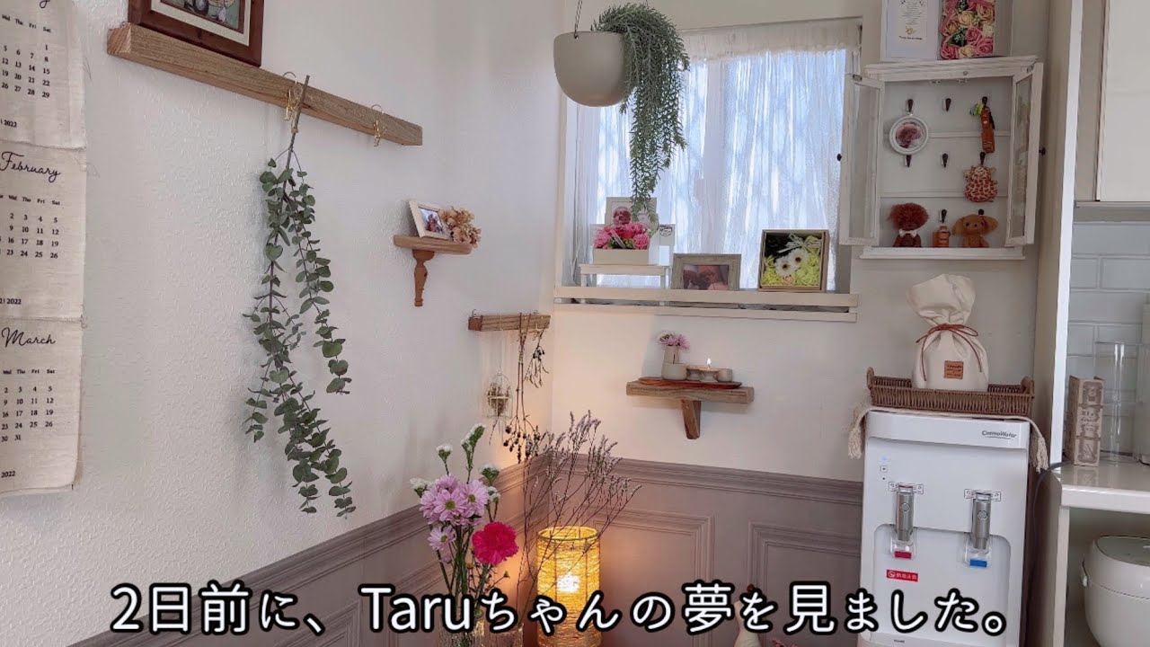 4回目の月命日。素敵なプレゼントが届きました🎁🌸