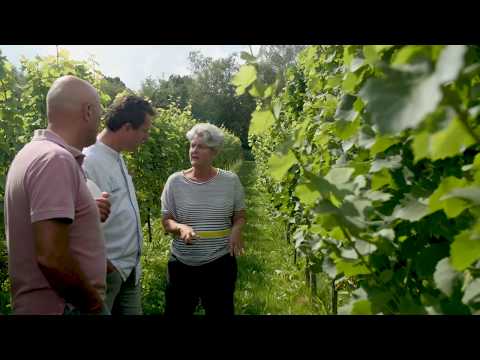 download lagu mp3 mp4 Frysling, download lagu Frysling gratis, unduh video klip Frysling