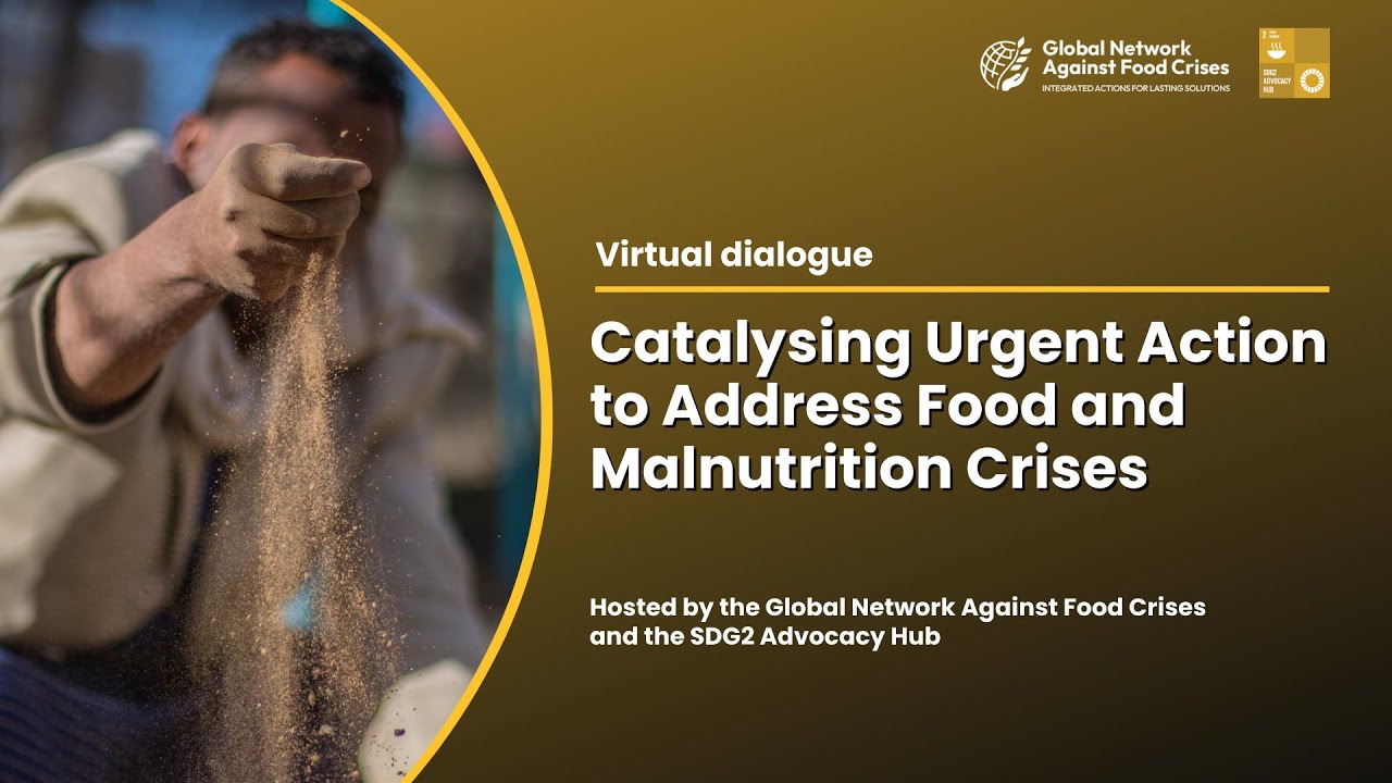 Catalysing Urgent Action to Address Food and Malnutrition Crises