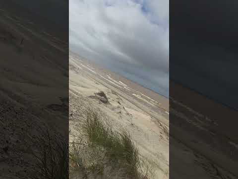 El Pinar Canelones Uruguay