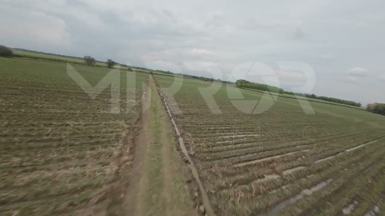 Cultivo de Caña FPV P2