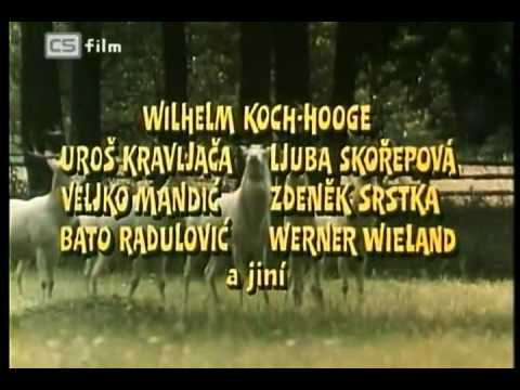 Sarajevský atentát - Ferdinand