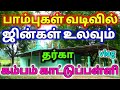 ஜின்கள் பாம்புகள் வடிவில் உலவும் கம்