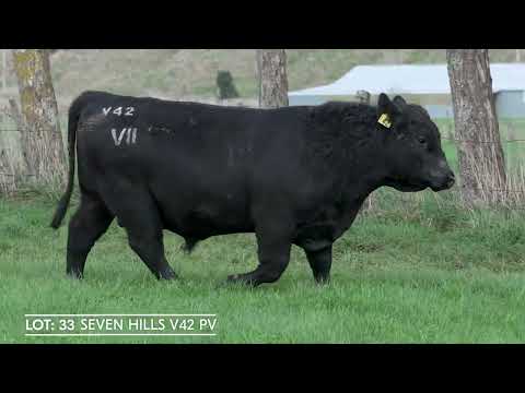 Lot 33  SEVEN HILLS V42 PV