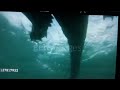 Animals In The Outback Music Video From Baby Noah S Animal Adventure